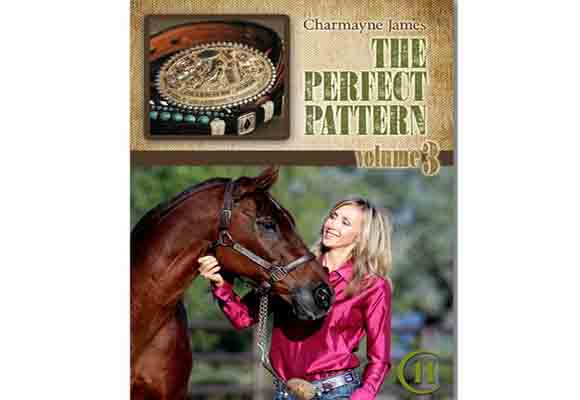 Charmayne James - The Perfect Pattern Volume 3